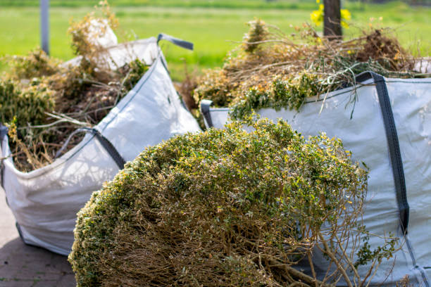 Best Junk Hauling Services  in Salem, VA